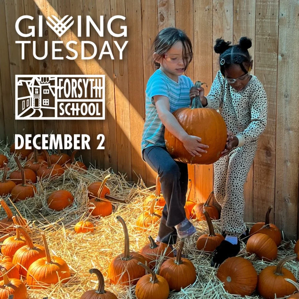 Mark your calendar: GivingTuesday is 2 WEEKS from today!

GivingTuesday is a global movement unleashing the power of radical generosity, defined by the transformational powers of empathy and solidarity. Generosity is uplifting, generative, equalizing