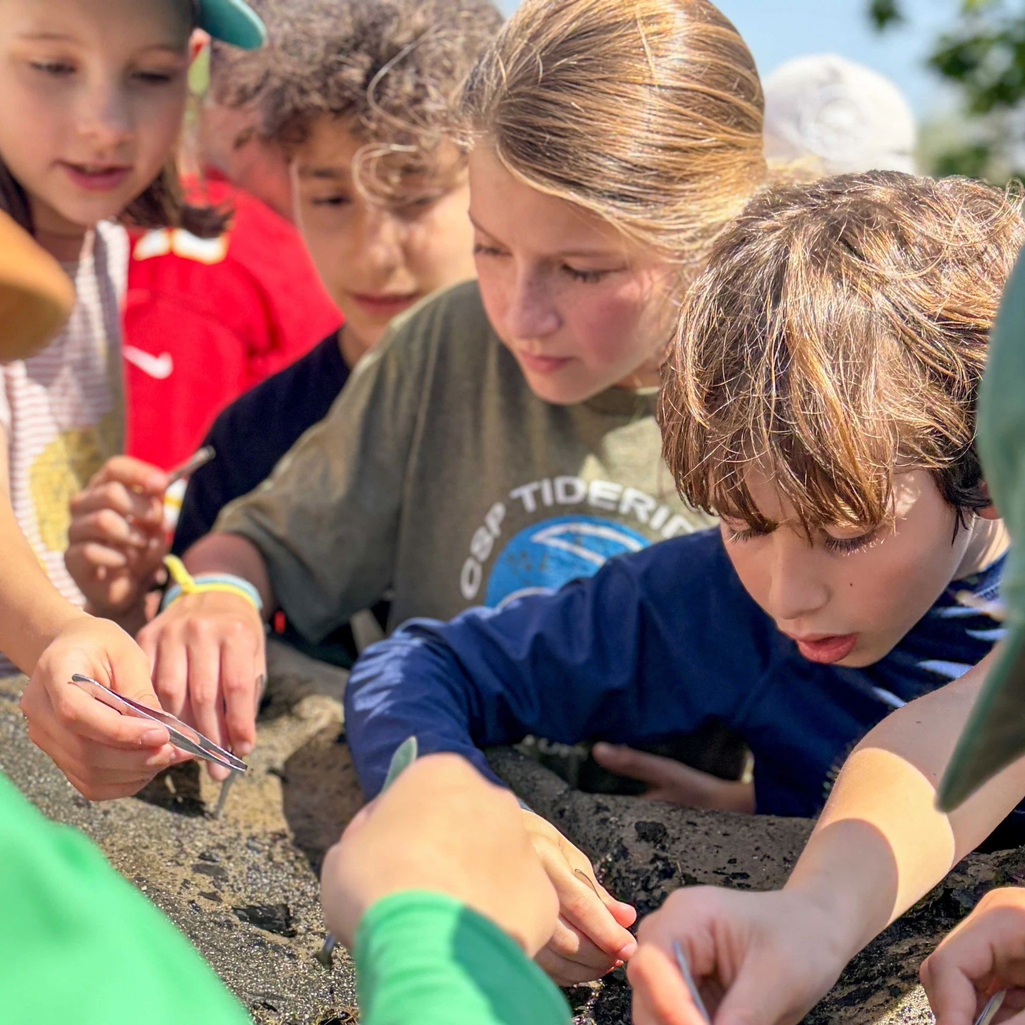 This year, thanks to a quick pivot due to the weather forecast, our Grade 4 students enjoyed their "Stream Team"-themed field trip to Forest Park before their camping overnight at Forsyth.

In Forest Park, the students went paddle boating, 