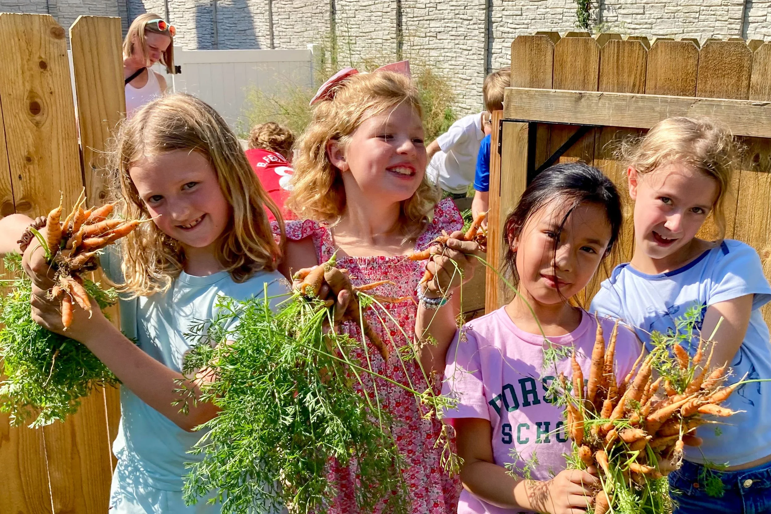 Grade 3 Three Sisters Garden