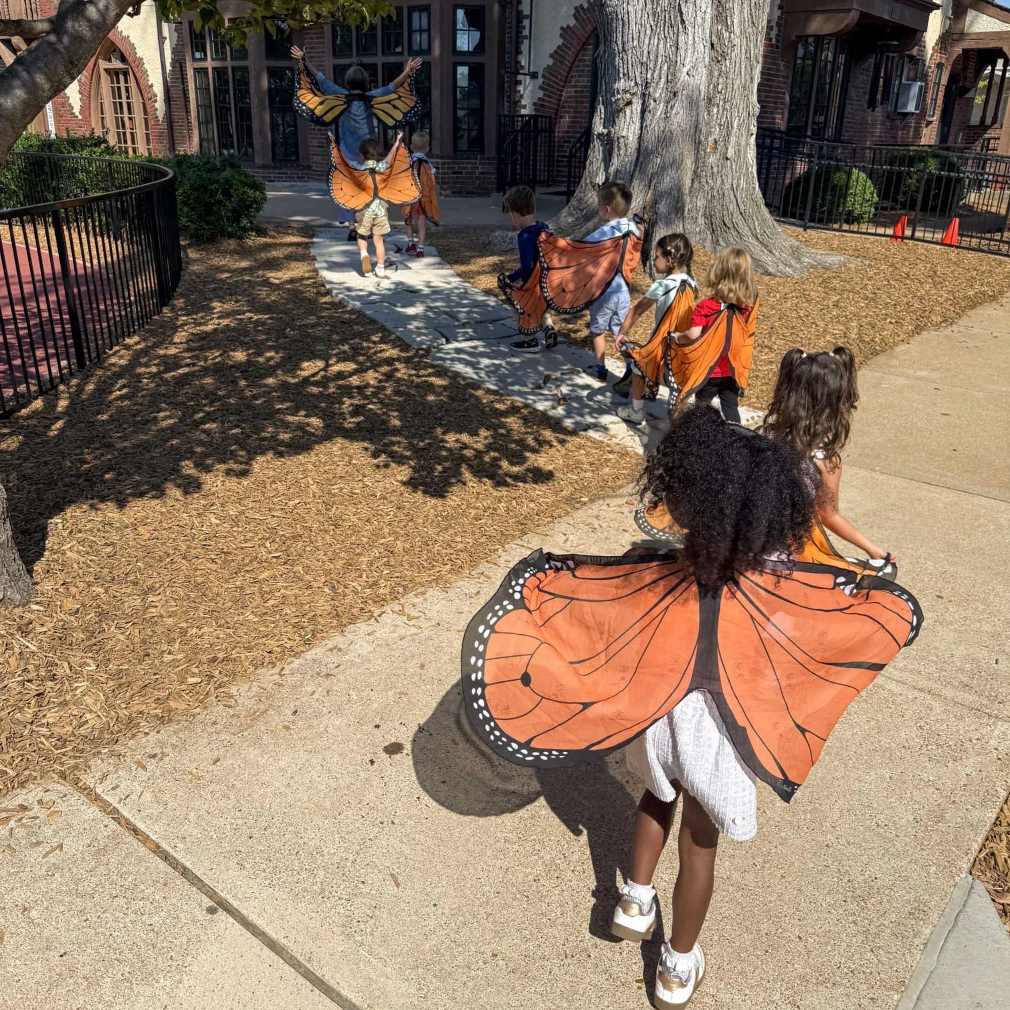 In science classes with Mrs. Christine Torlina, #ForsythSchool Pre-Kindergarten students used their imaginations (and butterfly wings!) to become monarch butterflies migrating to Mexico for the winter, stopping to visit flowers and milkweed plants on