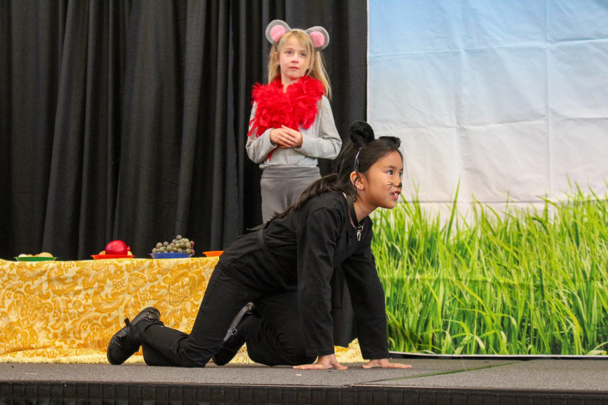 IMG_5470.jpg