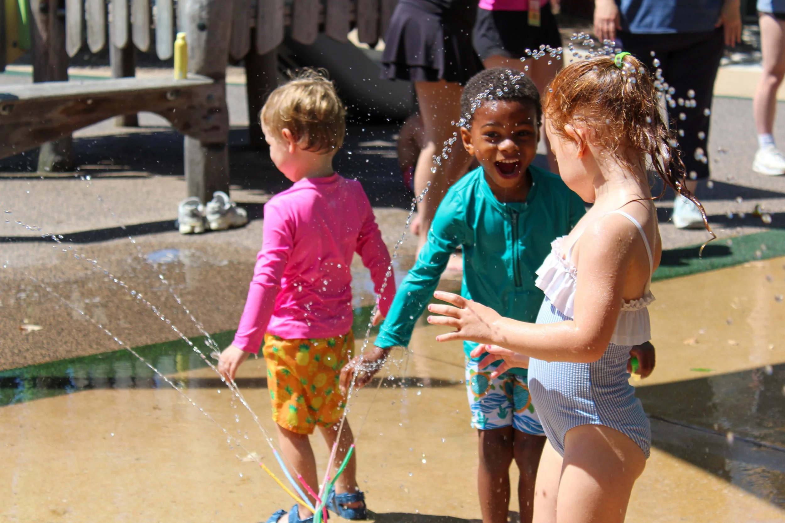 IMG_8457.jpg