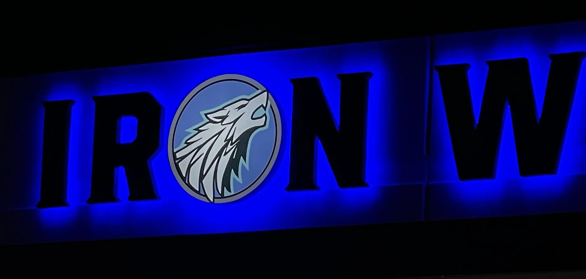 Iron Wolf_HALO_Night_2.jpg