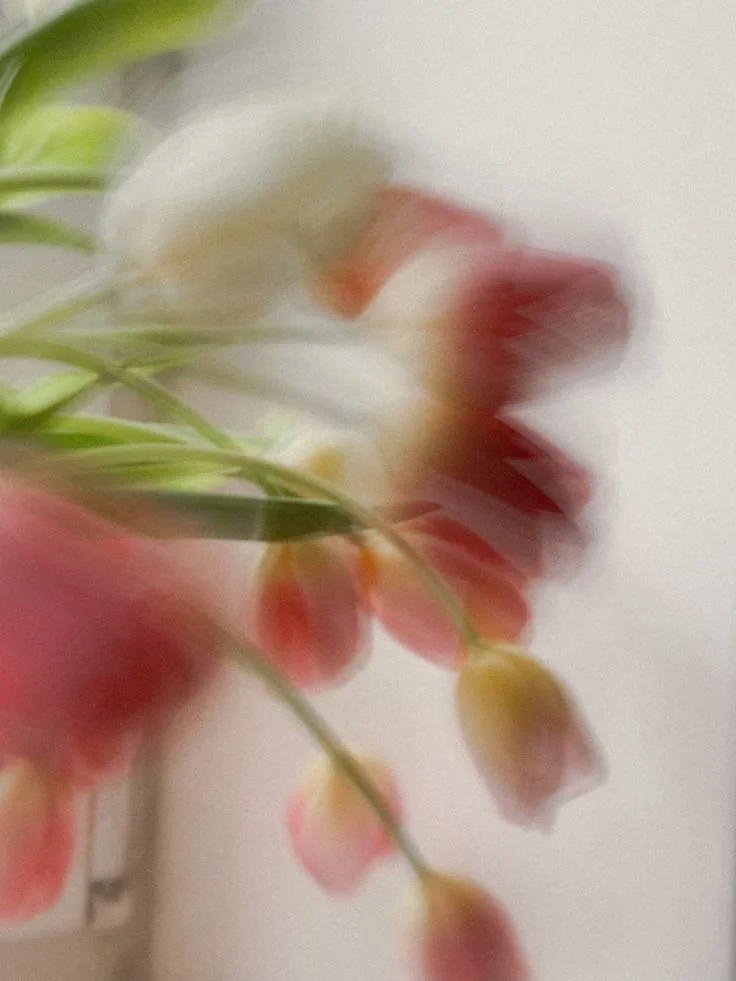 The Bloom Method