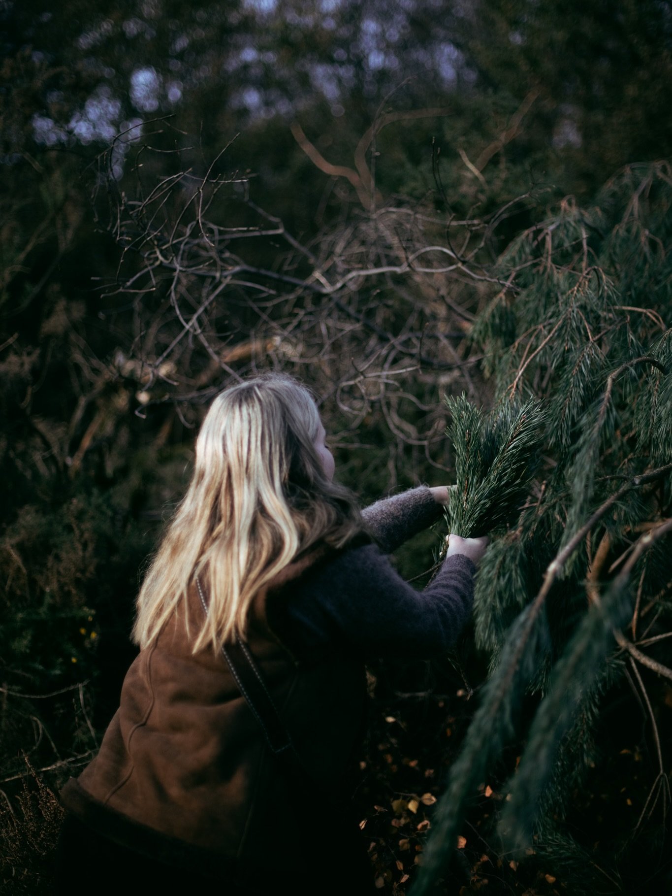 Walks with oldest &amp; dearest friends, a forage and capture with @green.heart.healing - love you sister ✨ 

#naturallightphotography #authenticstoryteller #creativeportraiture