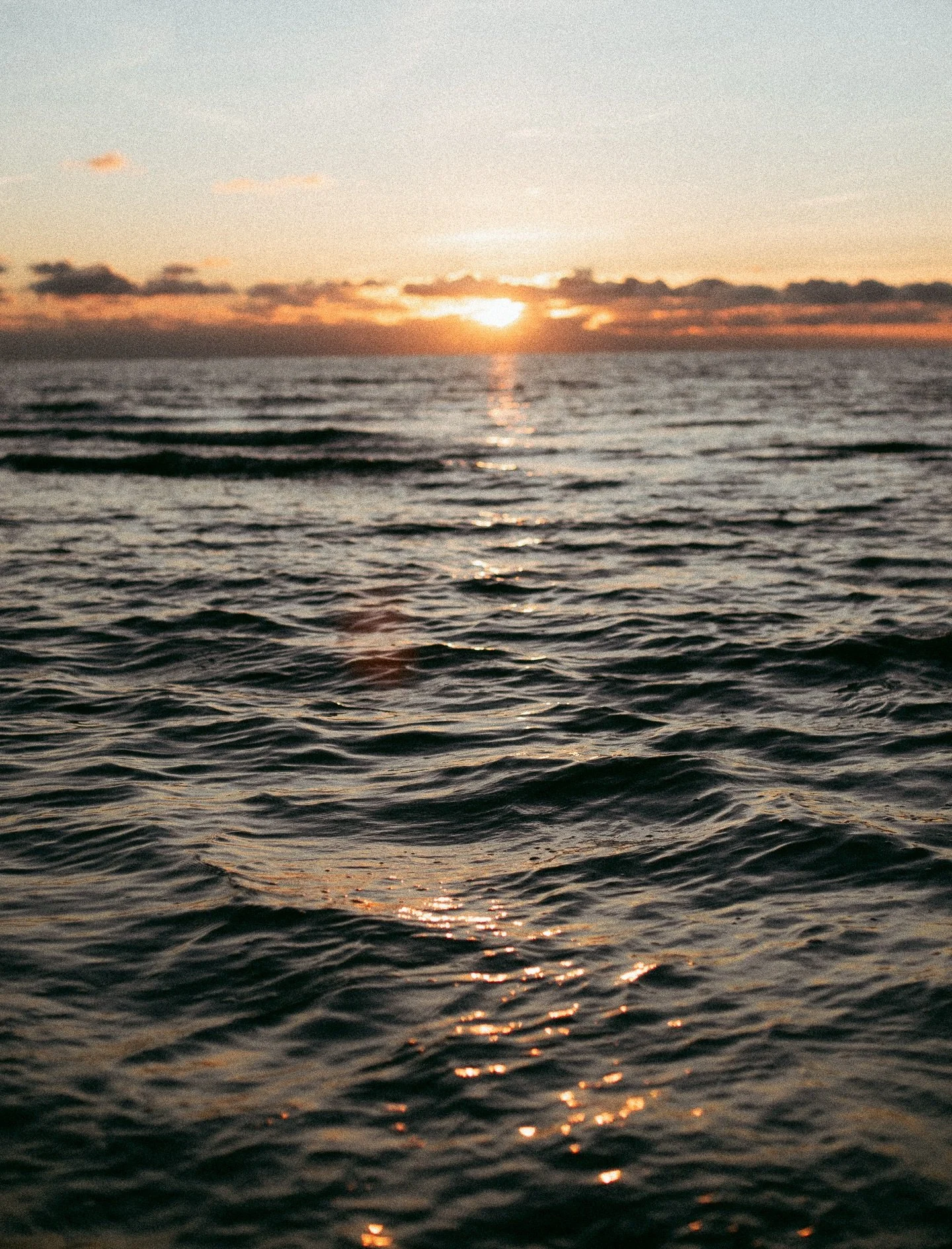 Watching the golden light set on the ocean last night - filled my heart with hope. 

Each golden sparkle, was an invitation to witness more beauty - to remind my heart, body and soul to trust in this simple act of love and be open to welcome every mo