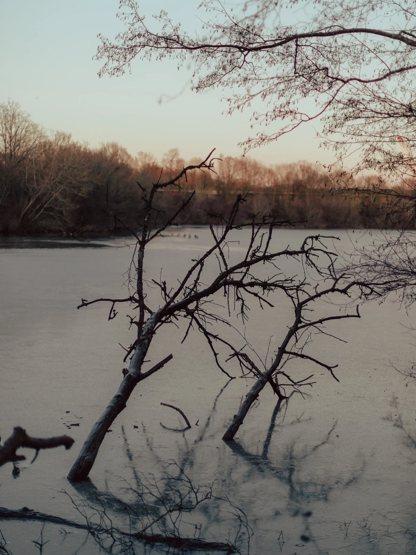 Immersed in stillness with her roots drawing into water &amp; the earth. fragile but resilient. 

For the next cycle of the year I will be tending to my heart, listening to nature and using my lens as a powerful tool to play witness to the cyclical i