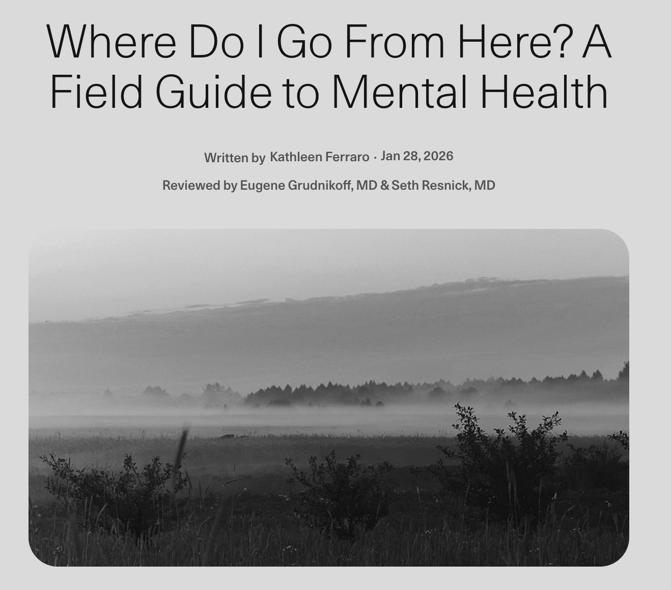 Radial SEO blog content