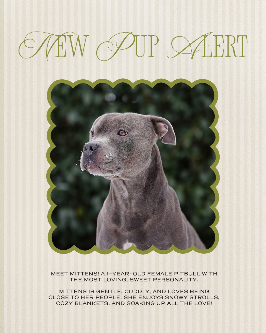 Instagram Post 12.jpg