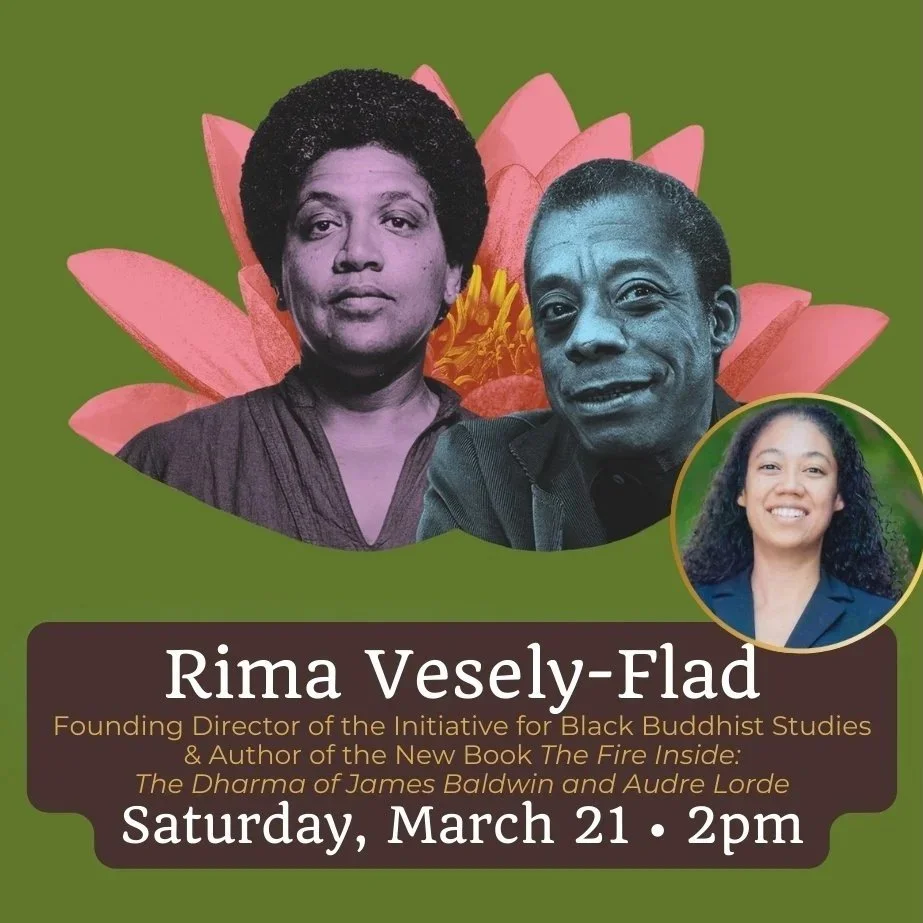 Rima Vesely-Flad Author Talk &amp; Book Signing