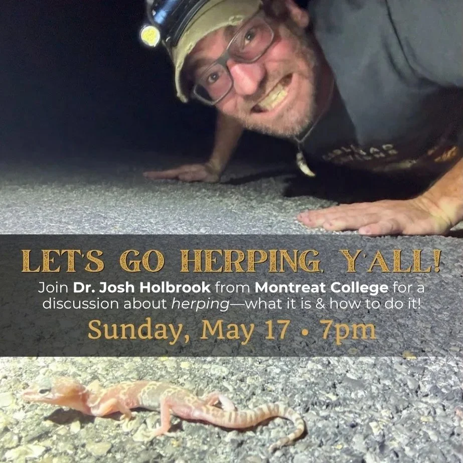 Let’s Go Herping, Y’all! Teach-In with Dr. Josh Holbrook