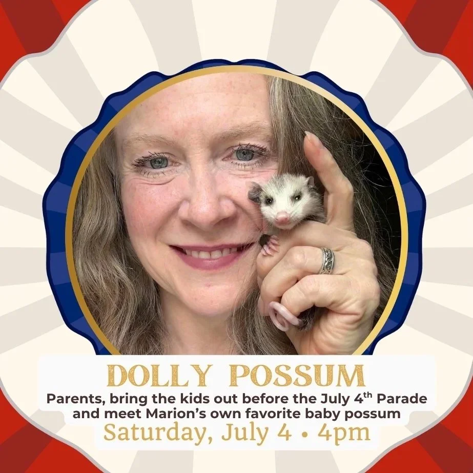 Meet “Dolly Possum” on 4th of July - For All Kids (And Childlike Adults)
