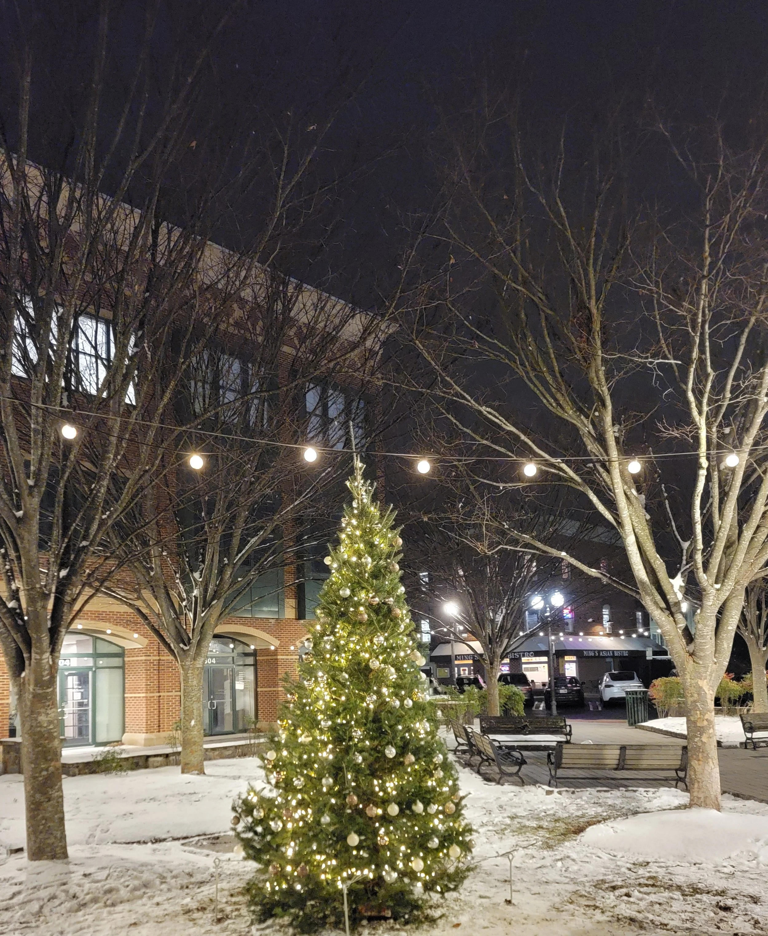Christmas tree lit in the snow at the Kentlands Tree and Menorah Lighting