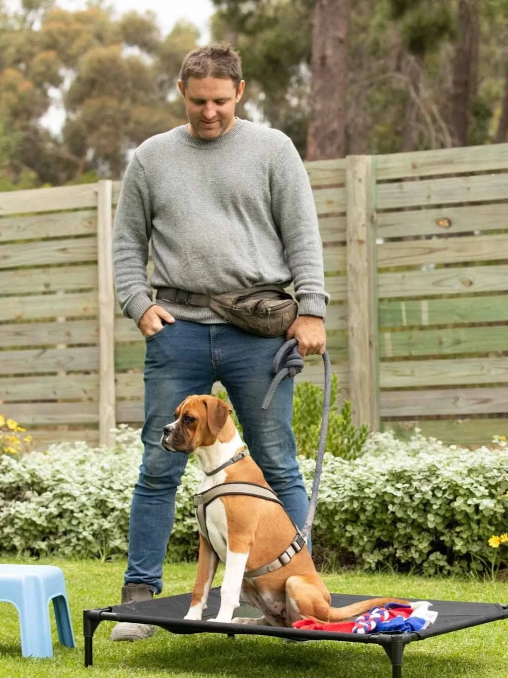A man standing outside on a small raised platform with a tan and white dog sitting on it, wearing a harness. The man is holding the dog's leash and looking down at the dog. There is a small blue stool nearby and a wooden fence in the background.