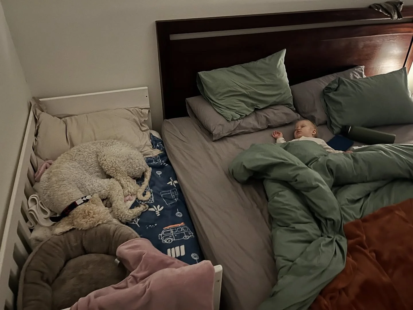 PRO TIP! 

How to have your dogs in bed, without having your dogs in bed. You&rsquo;re welcome! 😉 

Like and subscribe for more doggy hacks! 👏