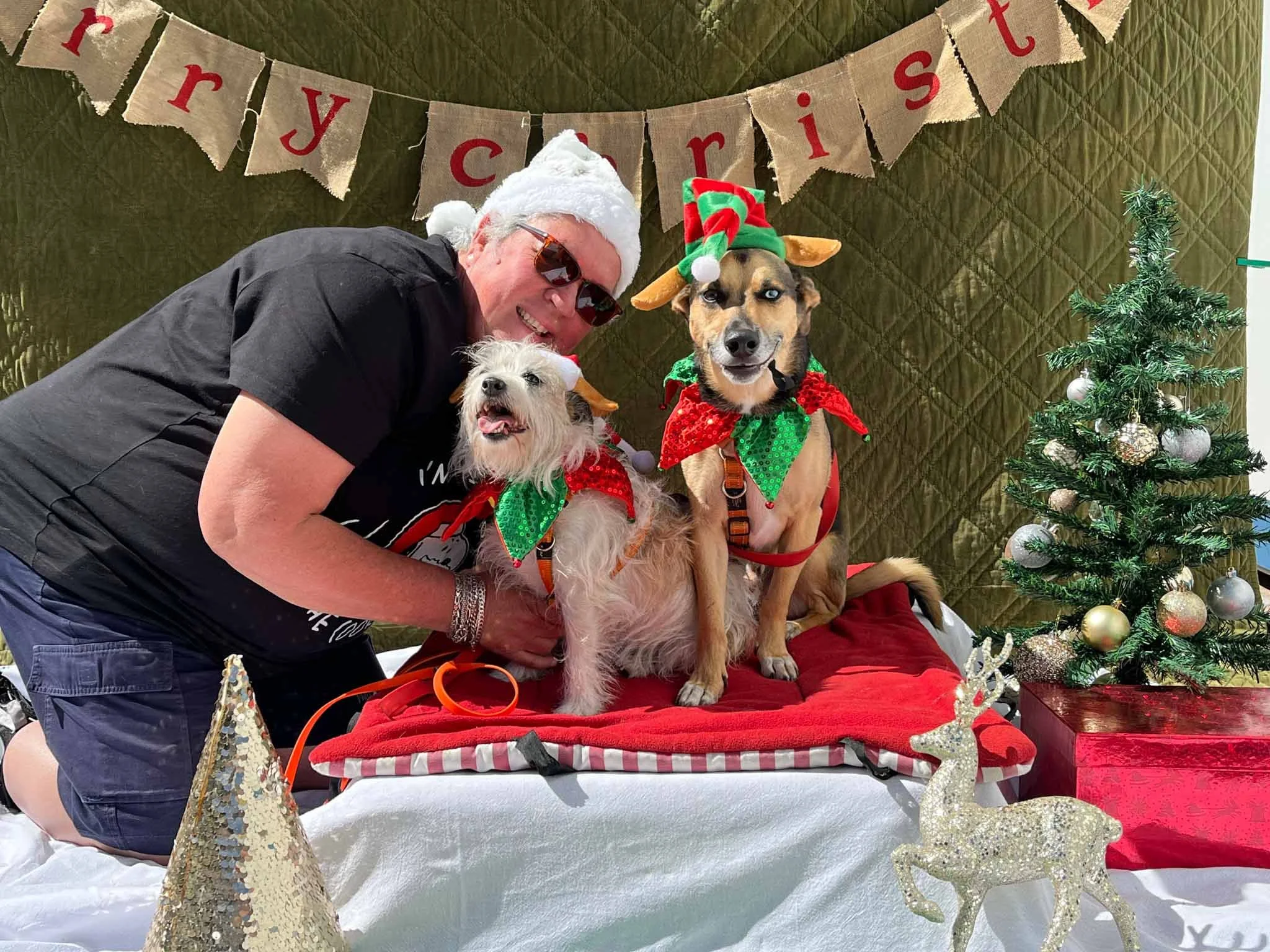A man wearing sunglasses, a Santa hat, and a black T-shirt, is kneeling beside two dogs dressed in Christmas outfits with elf hats and green bandanas. They are on a red blanket, with a small decorated Christmas tree and a glittery reindeer figurine n