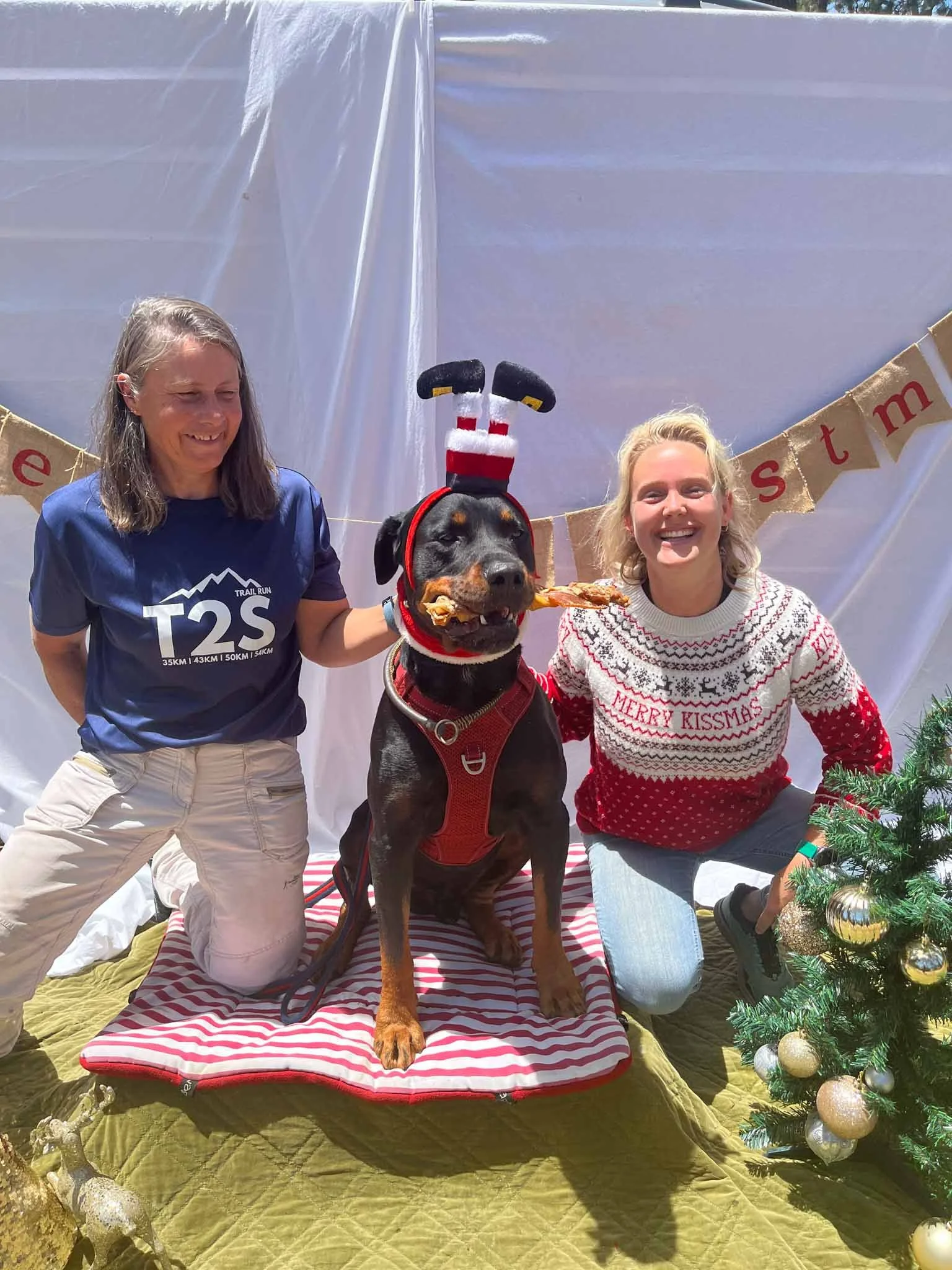 Two women and a dog with a chef hat costume posing in front of a white backdrop with a Christmas tree and a festive banner.