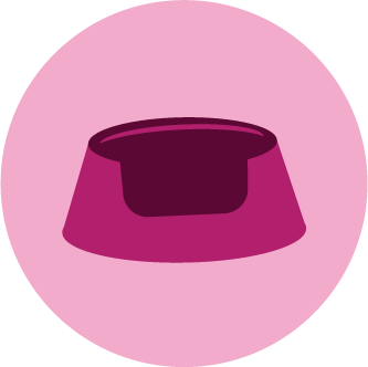 Purple pet food bowl on a pink background.