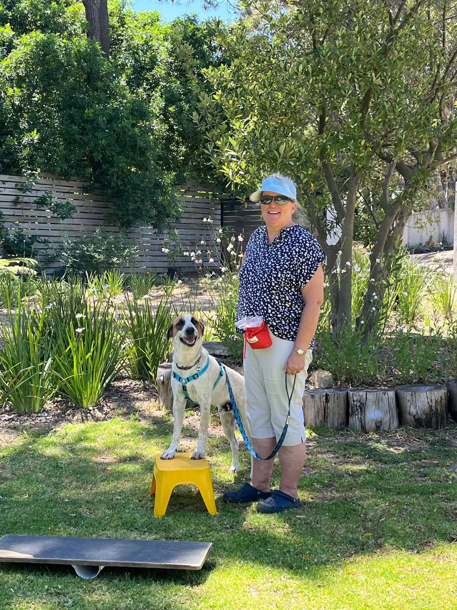 A woman standing outdoors with a happy dog on a yellow stool, surrounded by greenery and trees.
