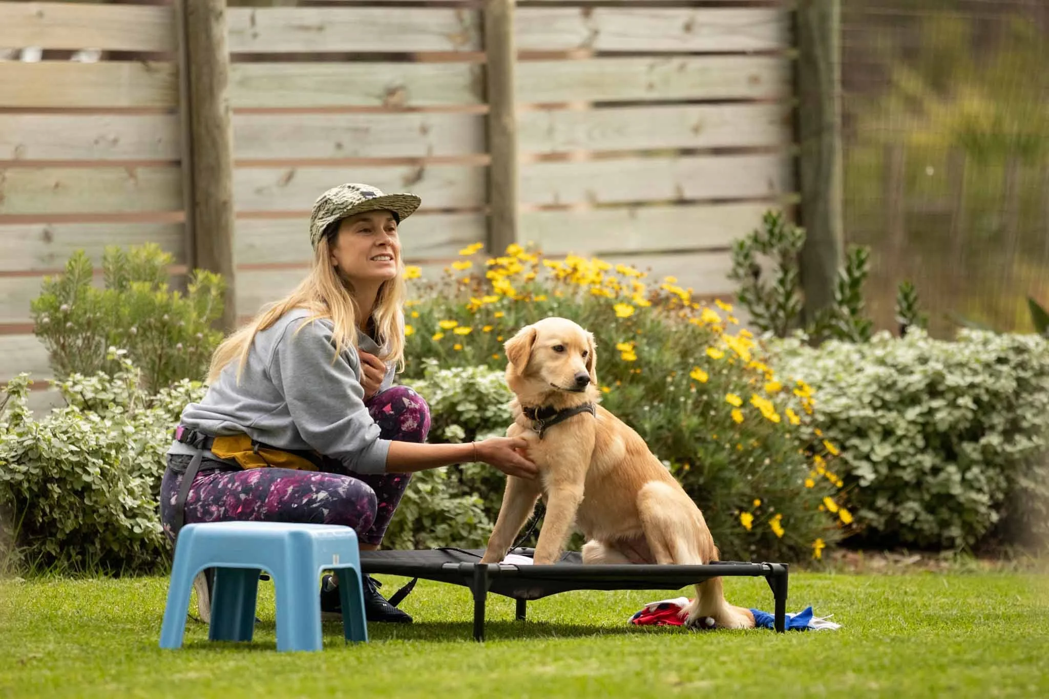A woman in a gray sweatshirt and colorful leggings, wearing a cap, is kneeling on the grass in a garden, holding a golden retriever puppy on a low black table. The garden has yellow and white flowers, a wooden fence, and some green bushes.