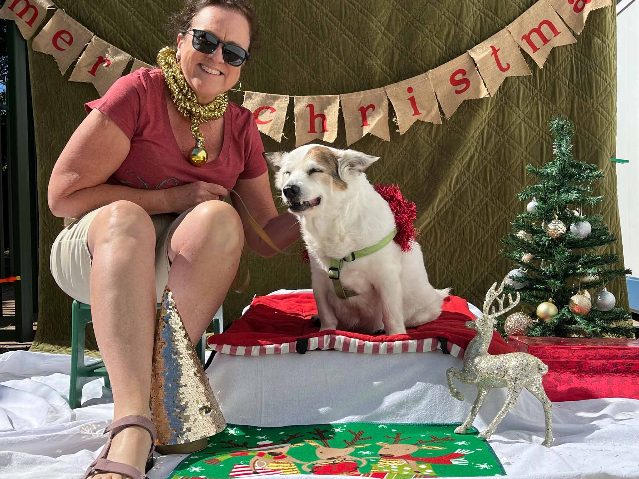 A woman wearing sunglasses and festive jewelry sits next to a dog on a red blanket, surrounded by Christmas decorations including a small Christmas tree, a glittery reindeer, and a holiday mat, with a "Merry Christmas" banner in the background.