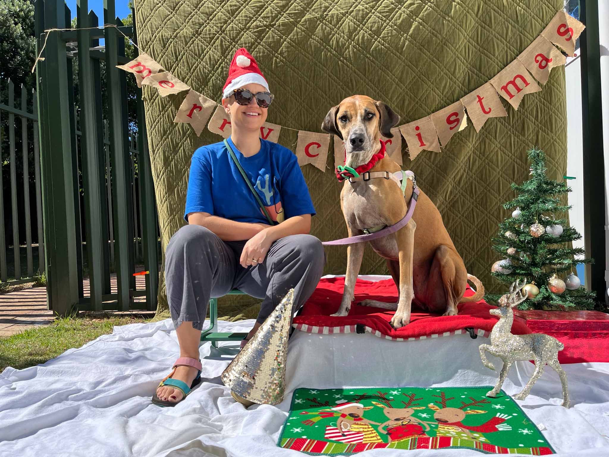 A woman wearing sunglasses, a Santa hat, and a blue t-shirt with a rainbow graphic, sits next to a brown dog with a red collar and green bowtie. They are in front of a Christmas decorated backdrop featuring a small Christmas tree decorated with silve