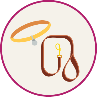 A yellow collar and a brown leash with a yellow clip inside a circular frame.