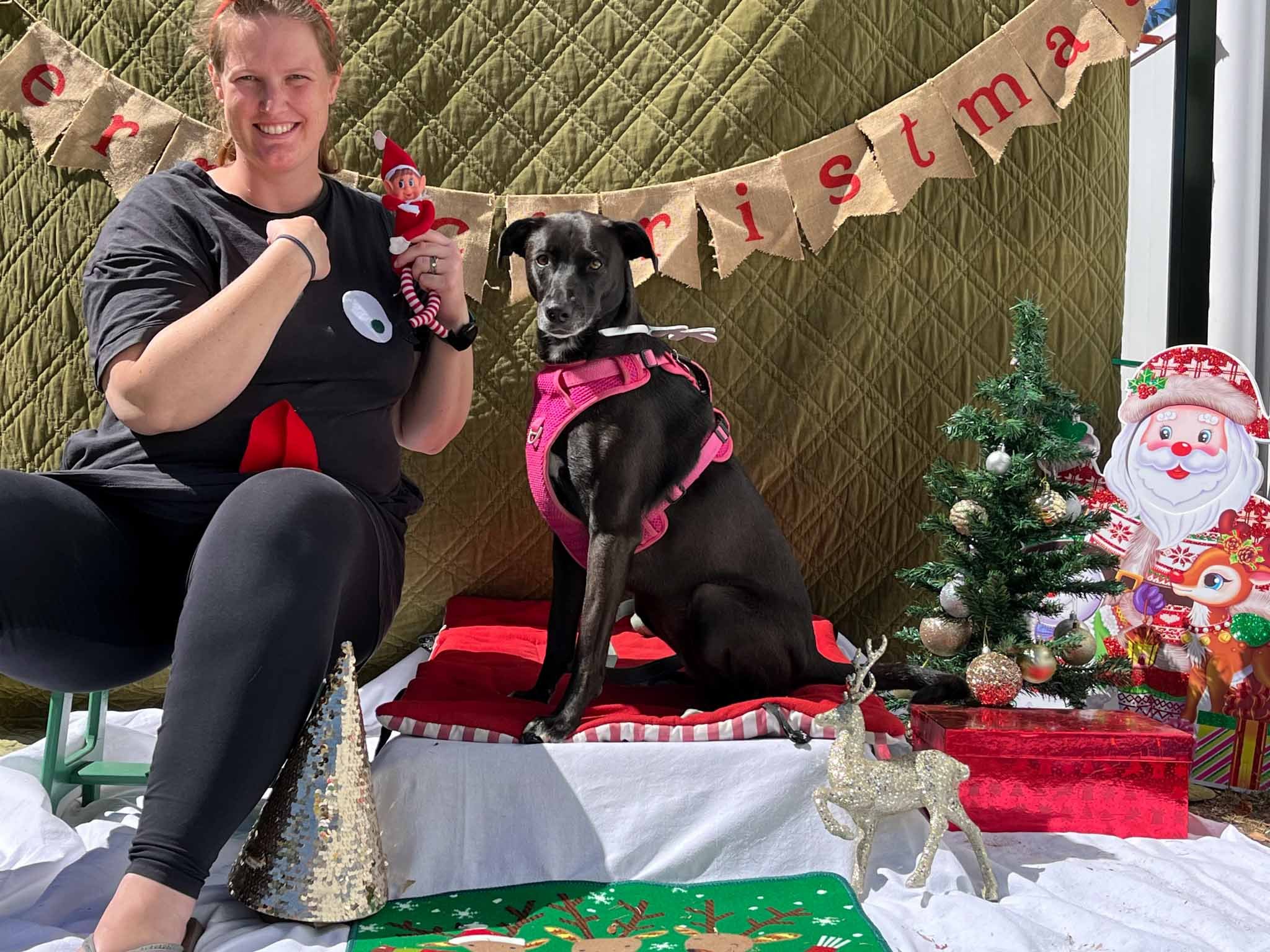 A woman with a elf costume and a dog in a pink harness sitting on a red blanket in front of a Christmas backdrop with a small decorated tree, a toy reindeer, and festive decorations.