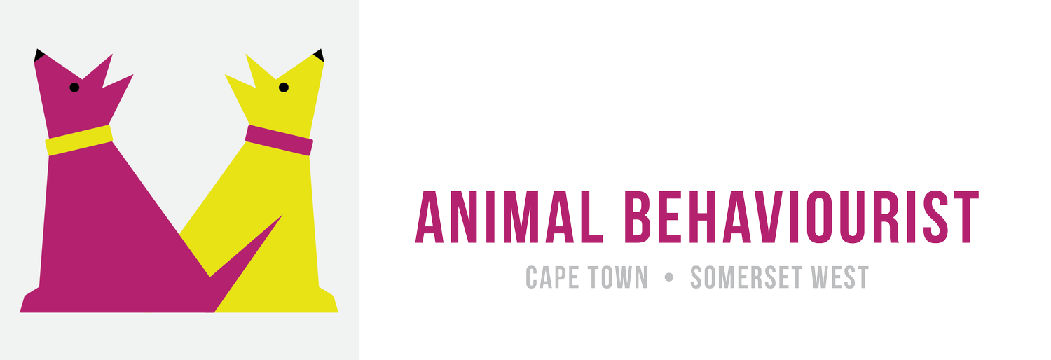 Kieron Kelly Animal Behaviourist