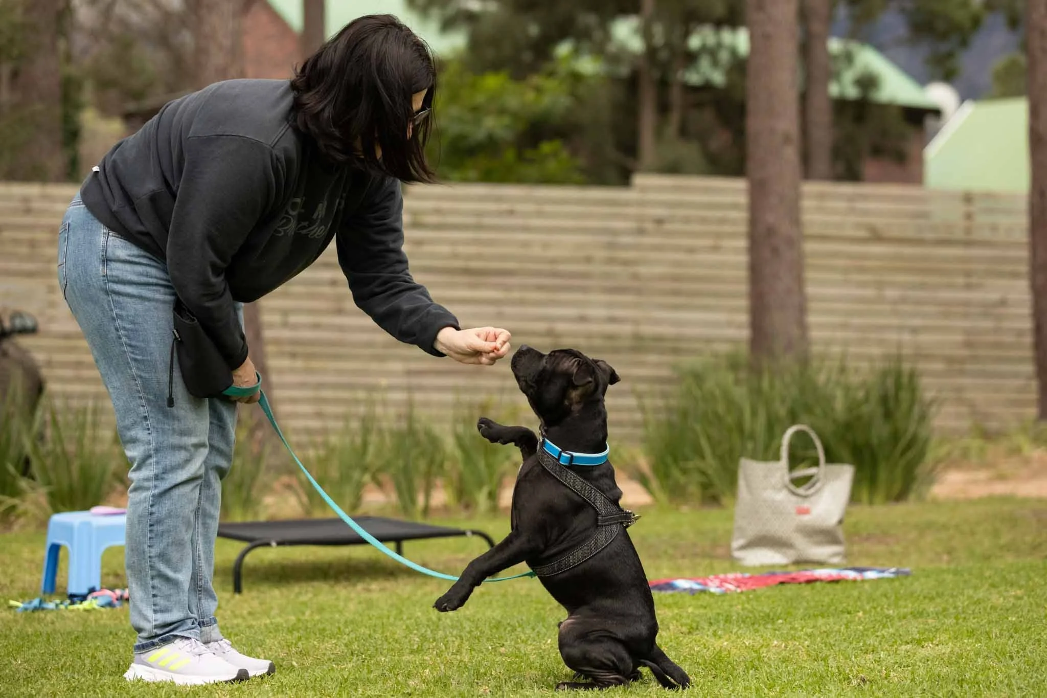 A woman training a black dog on a leash outdoors in a grassy area, with a wooden fence, trees, and outdoor furniture in the background.