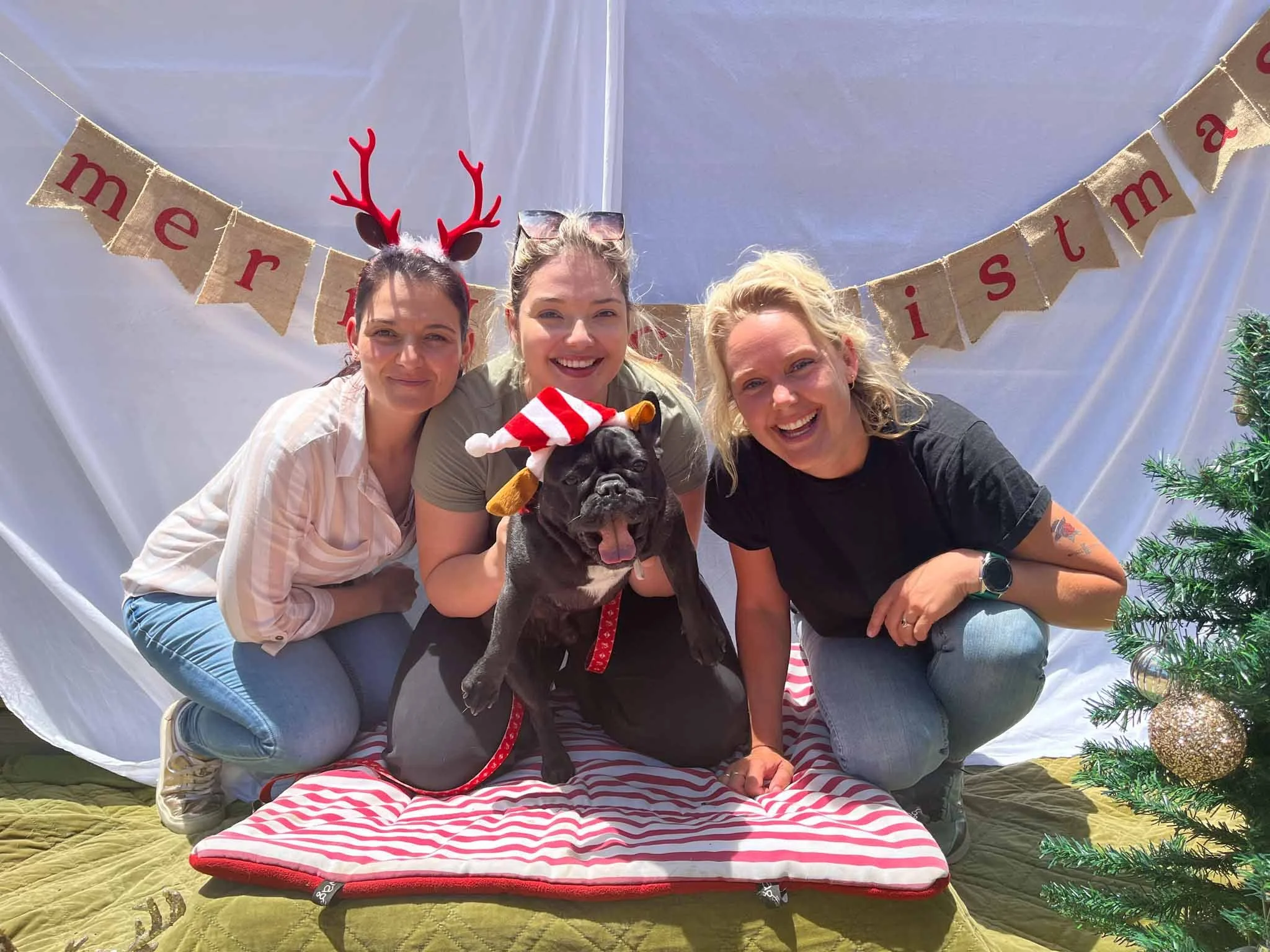 Three women and a dog posing together at a Christmas celebration. The women are smiling, one wearing reindeer antlers, another in a Santa hat, and the third with a Christmas-themed throw pillow. The dog is wearing a Santa hat and a red collar. Behind