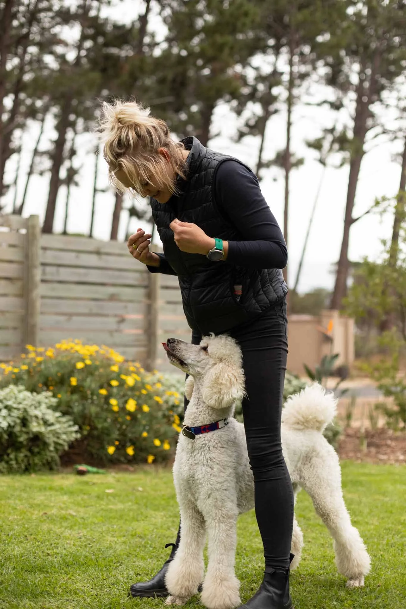 A woman with blonde hair in a ponytail, wearing a black vest and pants, is standing outside with a white poodle. The poodle is looking up at her and her body language suggests she might be giving a command or a treat. The background includes a wooden fence, trees, and blooming yellow flowers.