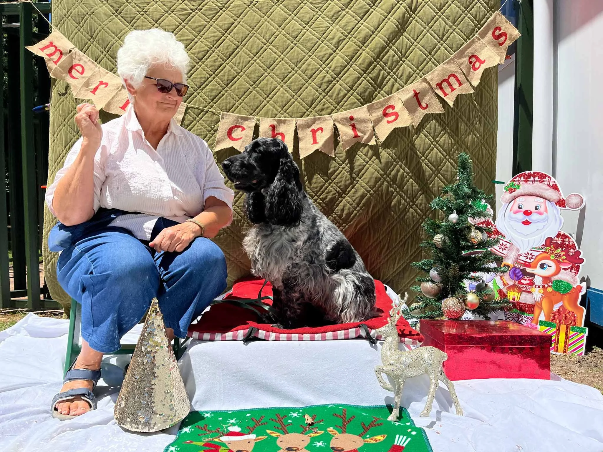 An elderly woman with white curly hair, wearing sunglasses, a white shirt, and blue pants, sitting outdoors with a black and white dog, in front of a green and gold quilted backdrop, decorated with a 'Merry Christmas' banner, a small Christmas tree, 