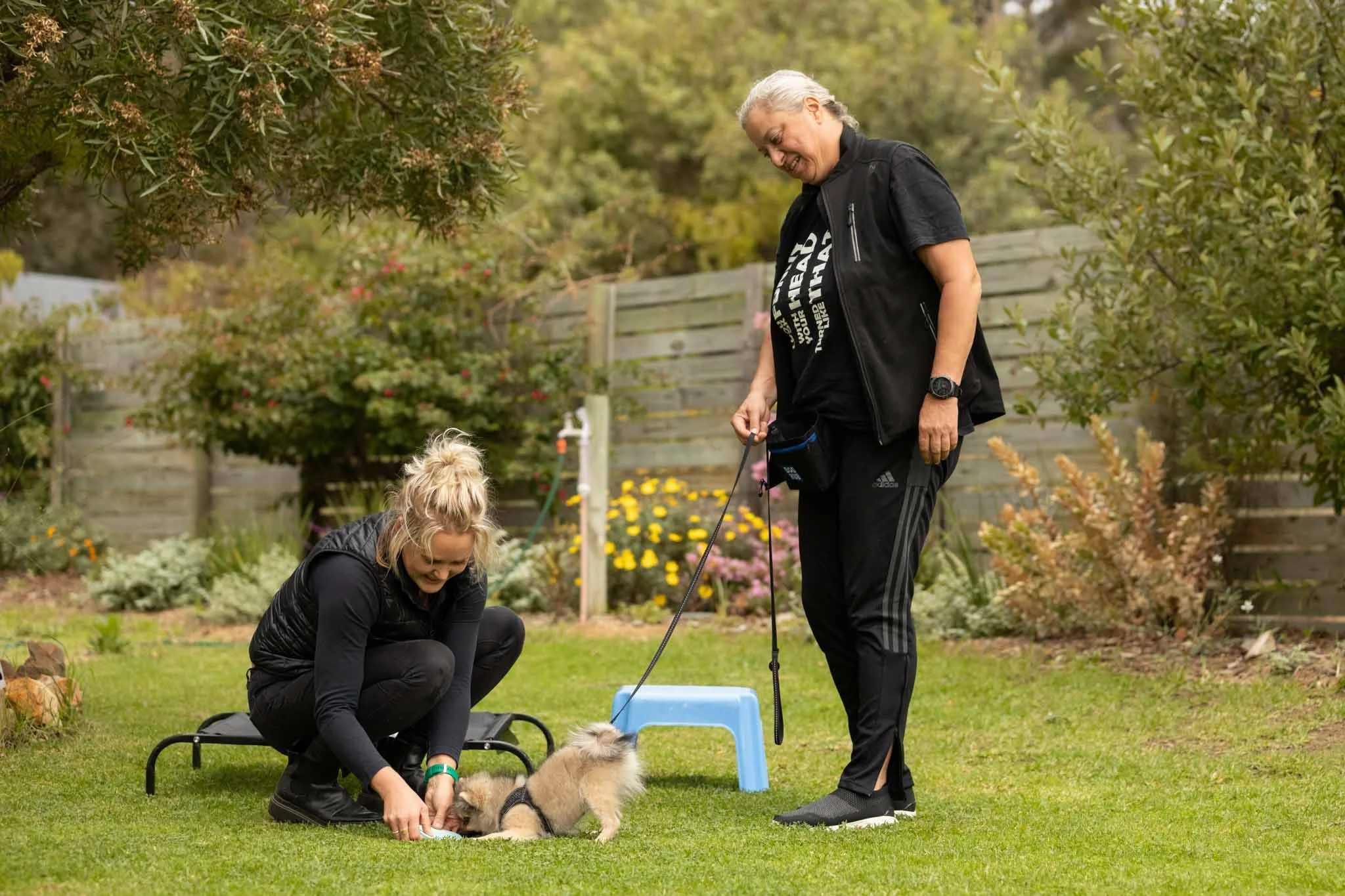 Two women and a small dog on a grassy yard with plants and trees in the background. One woman is standing, holding a leash attached to the dog, and the other woman is kneeling, interacting with the dog.