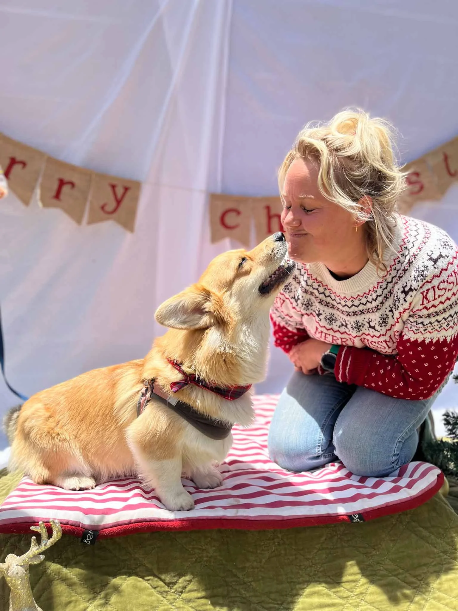A woman and a corgi puppy touching noses inside a decorated tent with a 'Merry Christmas' banner.