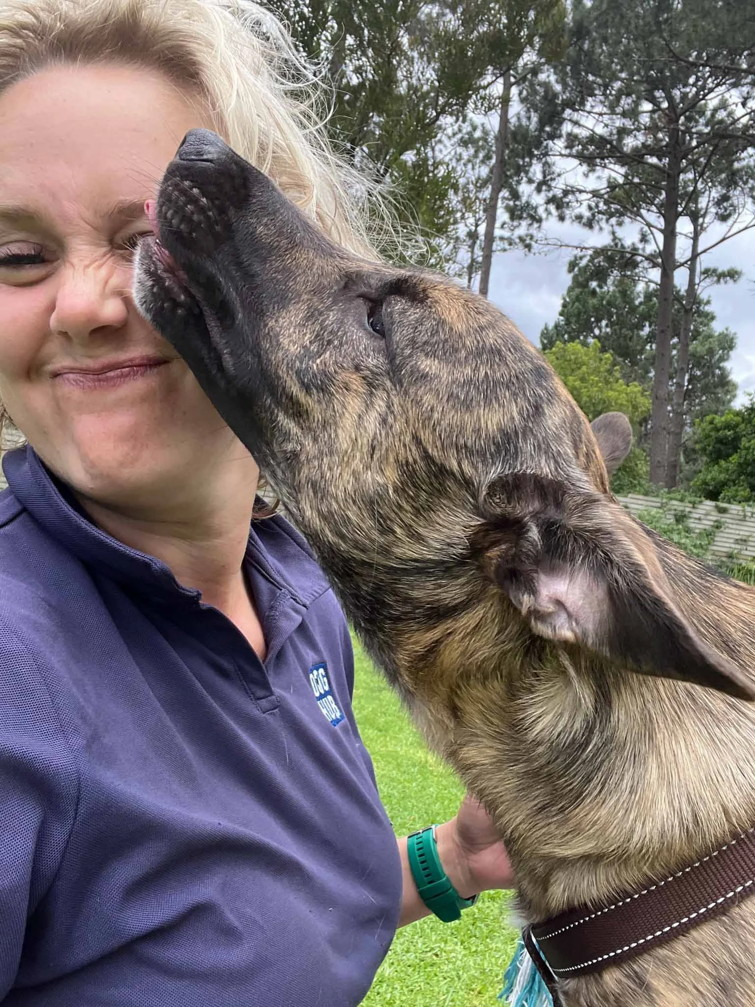 A woman in a purple shirt with blonde hair is smiling as a large brown and black German Shepherd puppy licks her face outdoors, with trees and a cloudy sky in the background.