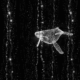03_SQUARE_SINGLE_WHALE_320px.gif