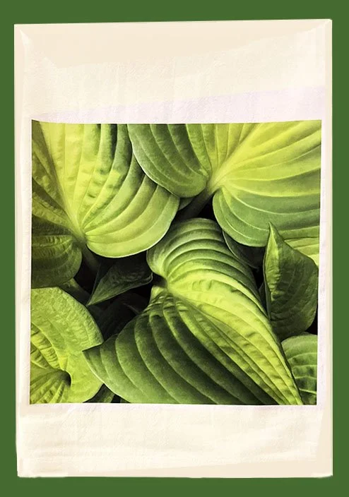 greenleaf towel-Recovered.jpg