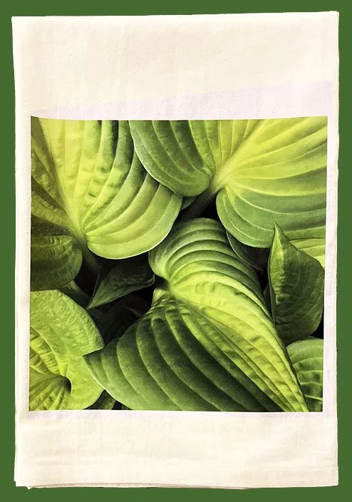 greenleaf towel-Recovered.jpg