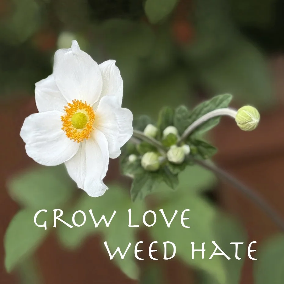 Grow Love Weed Hate