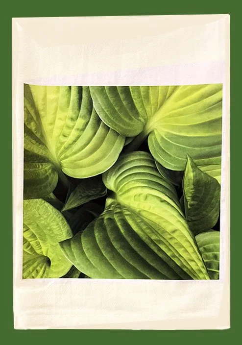 Leaf Towel