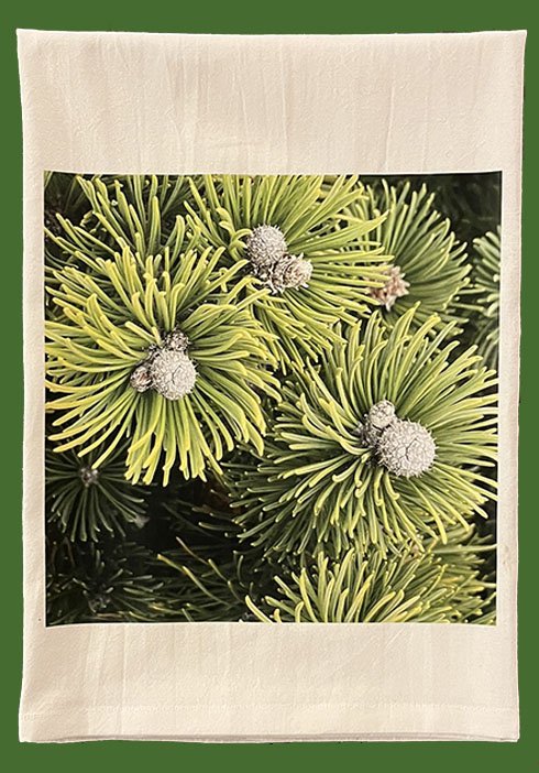 greenpine towel-Recovered.jpg