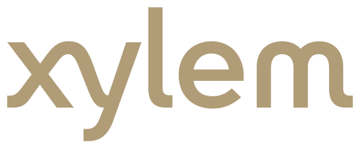 xylem.png