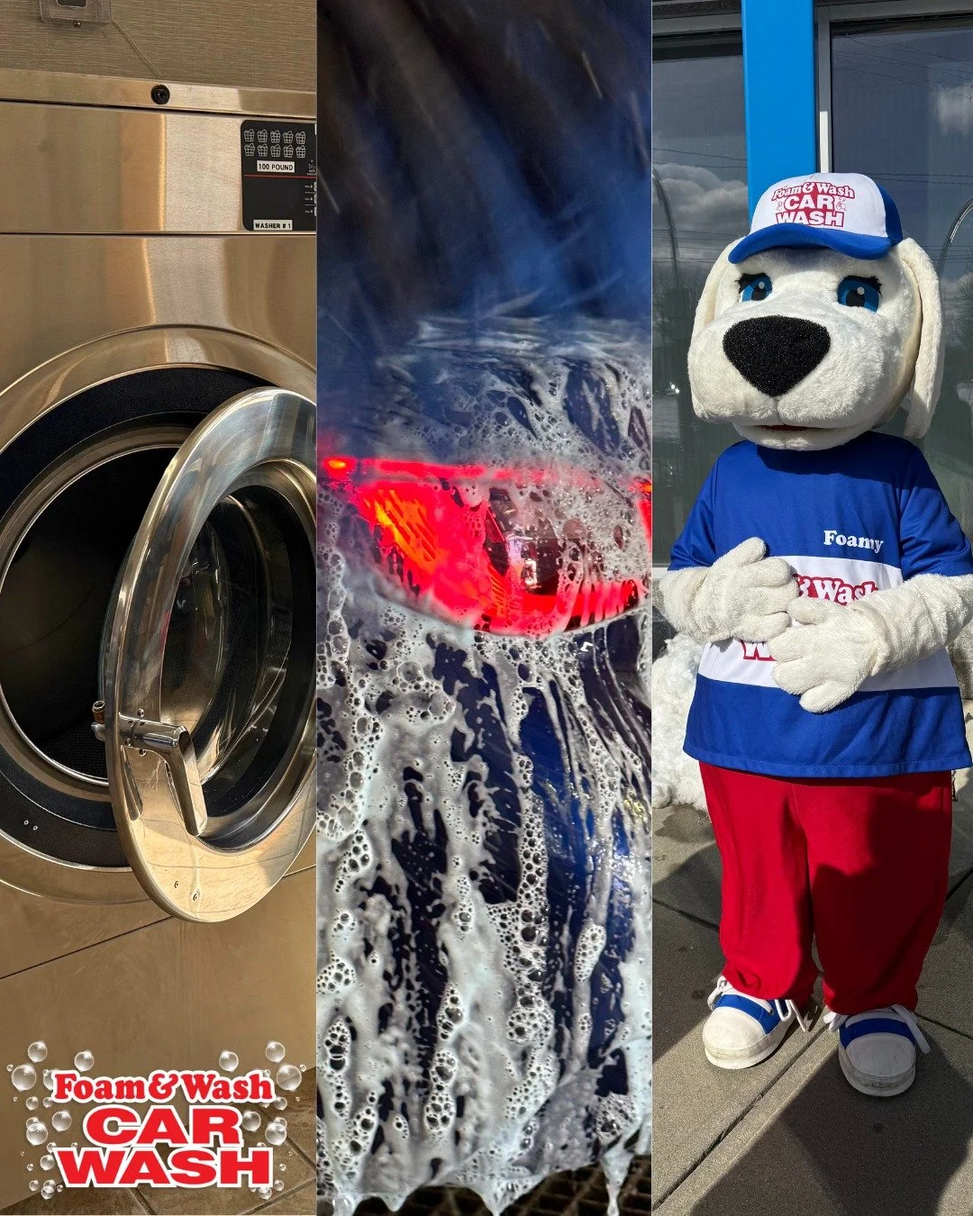 👕? Washed. 🚗? Washed. 🐶? Washed!