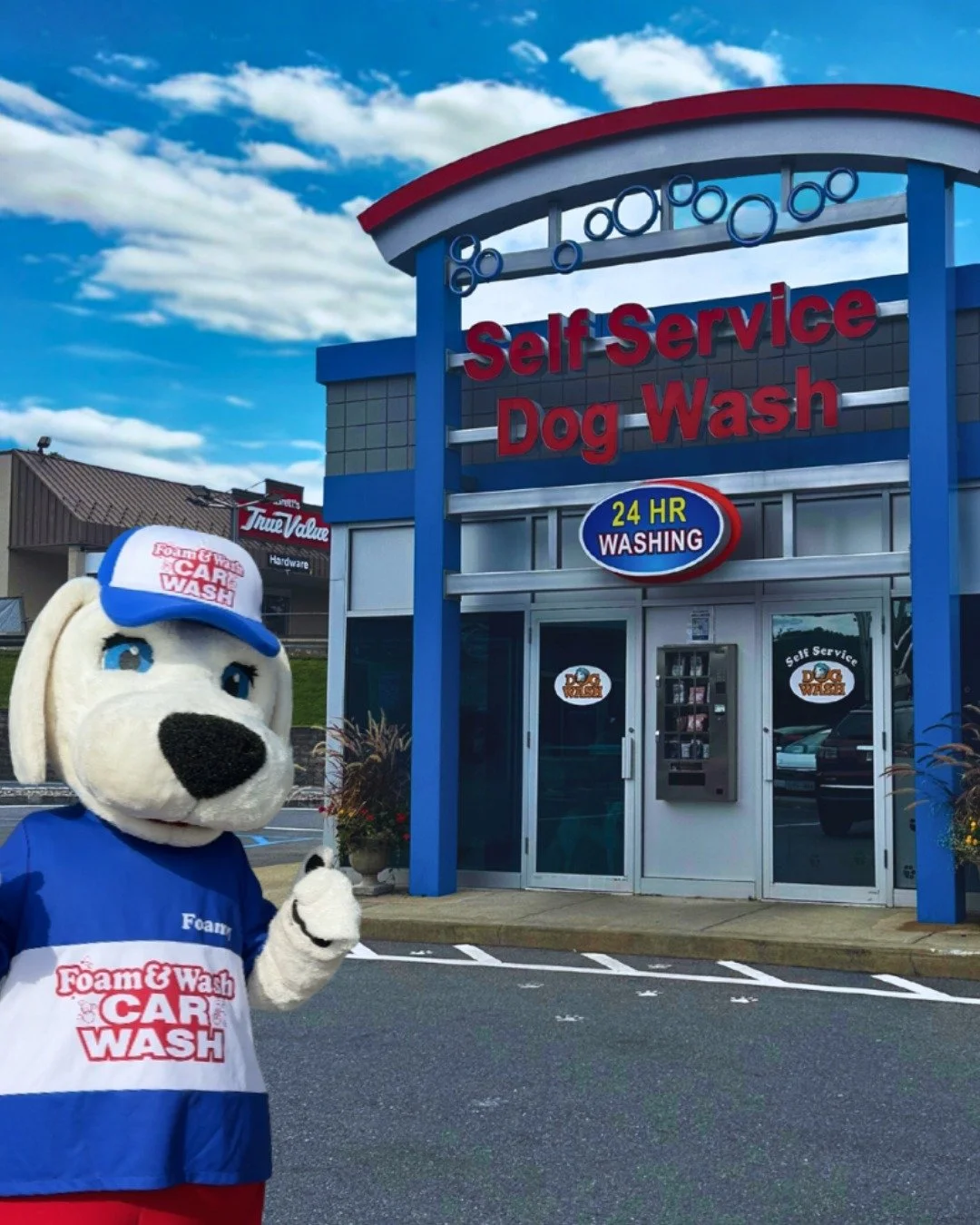 Clean Cars? ✅ Clean Doggos? ✅ Great start to the week? ✅
🚗🐶😃