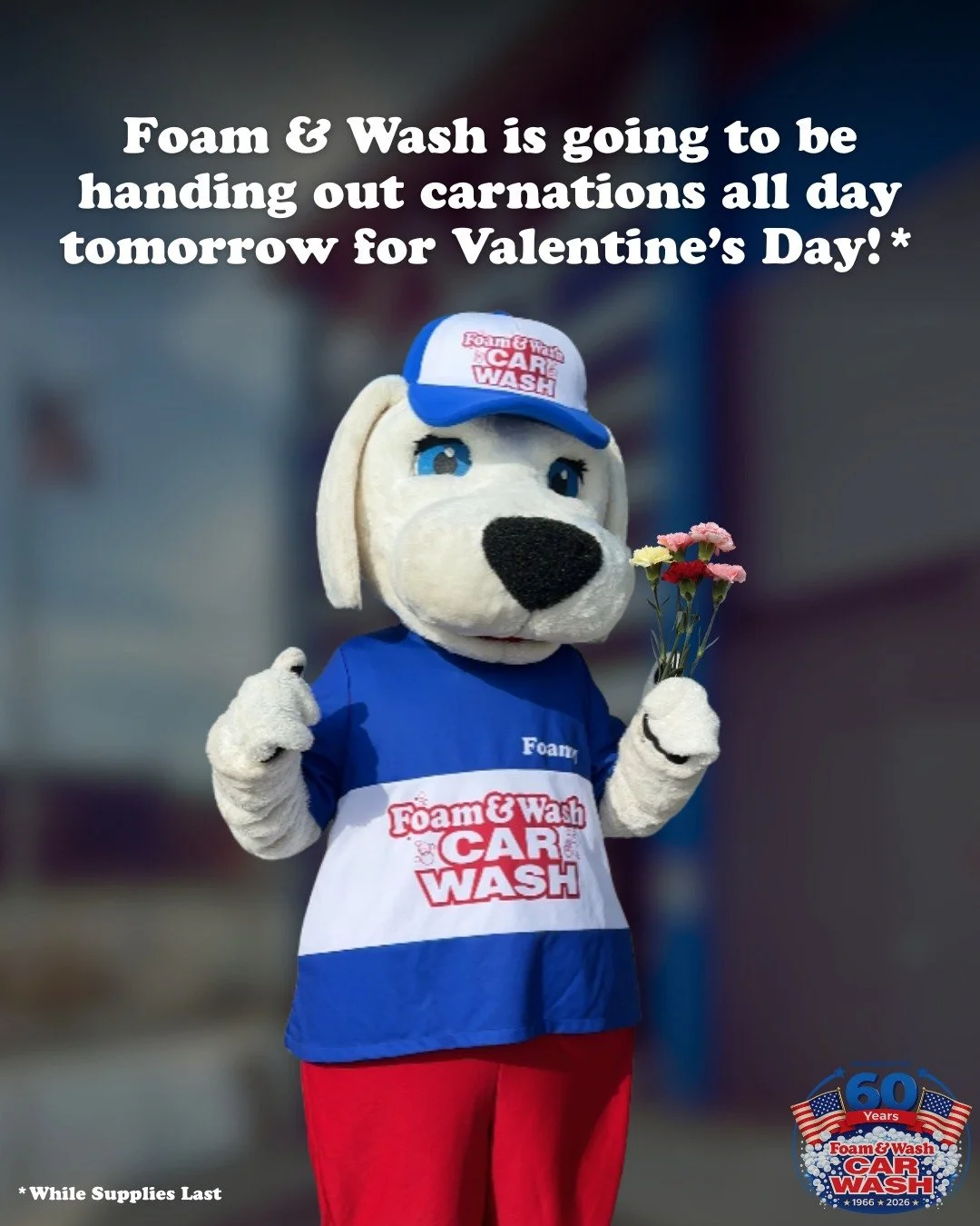 Foam &amp; Wash is going to be handing out carnations all day tomorrow for Valentine&rsquo;s Day!* (*While supplies last) 💐