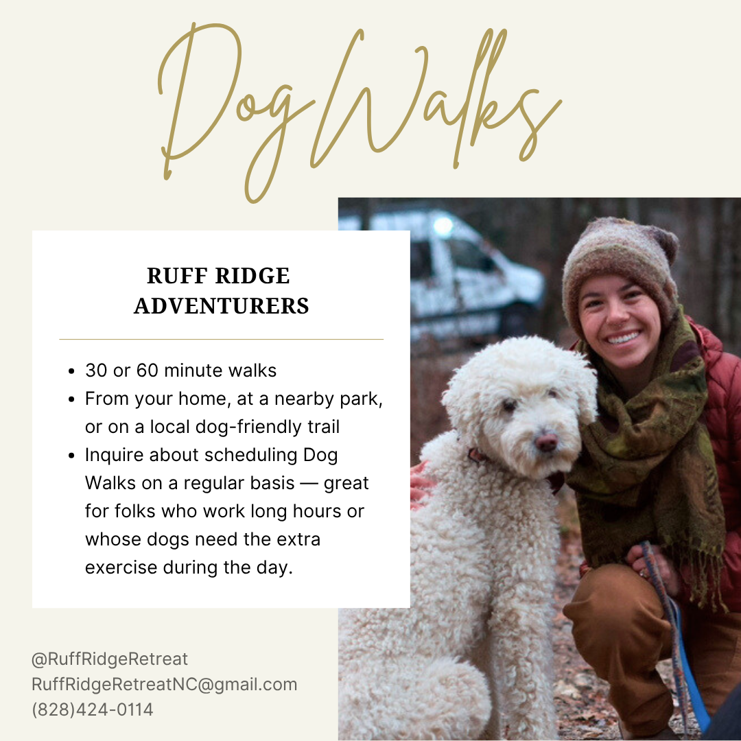 Dog Walks