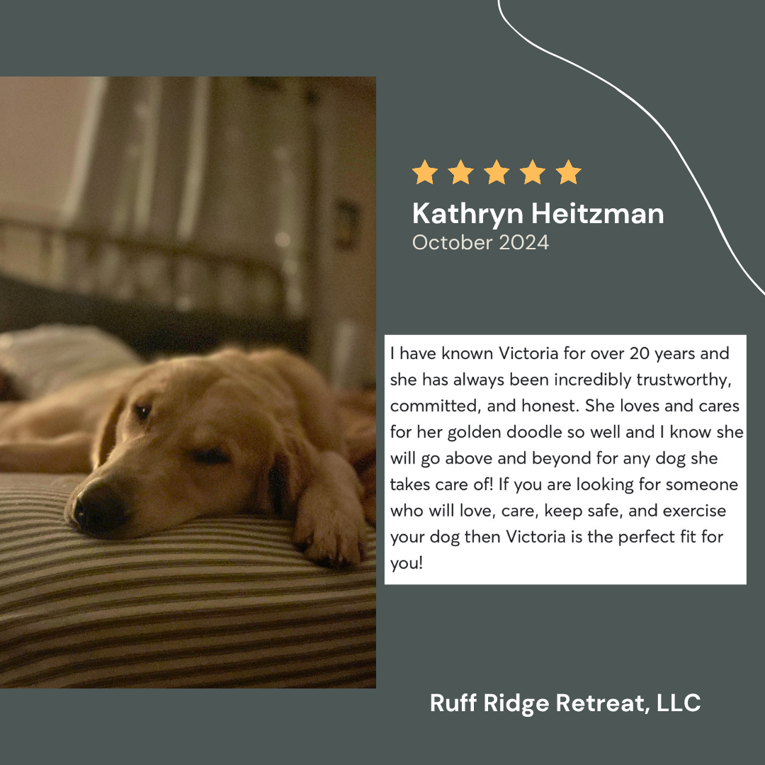 Kathryn Heitzman review.png
