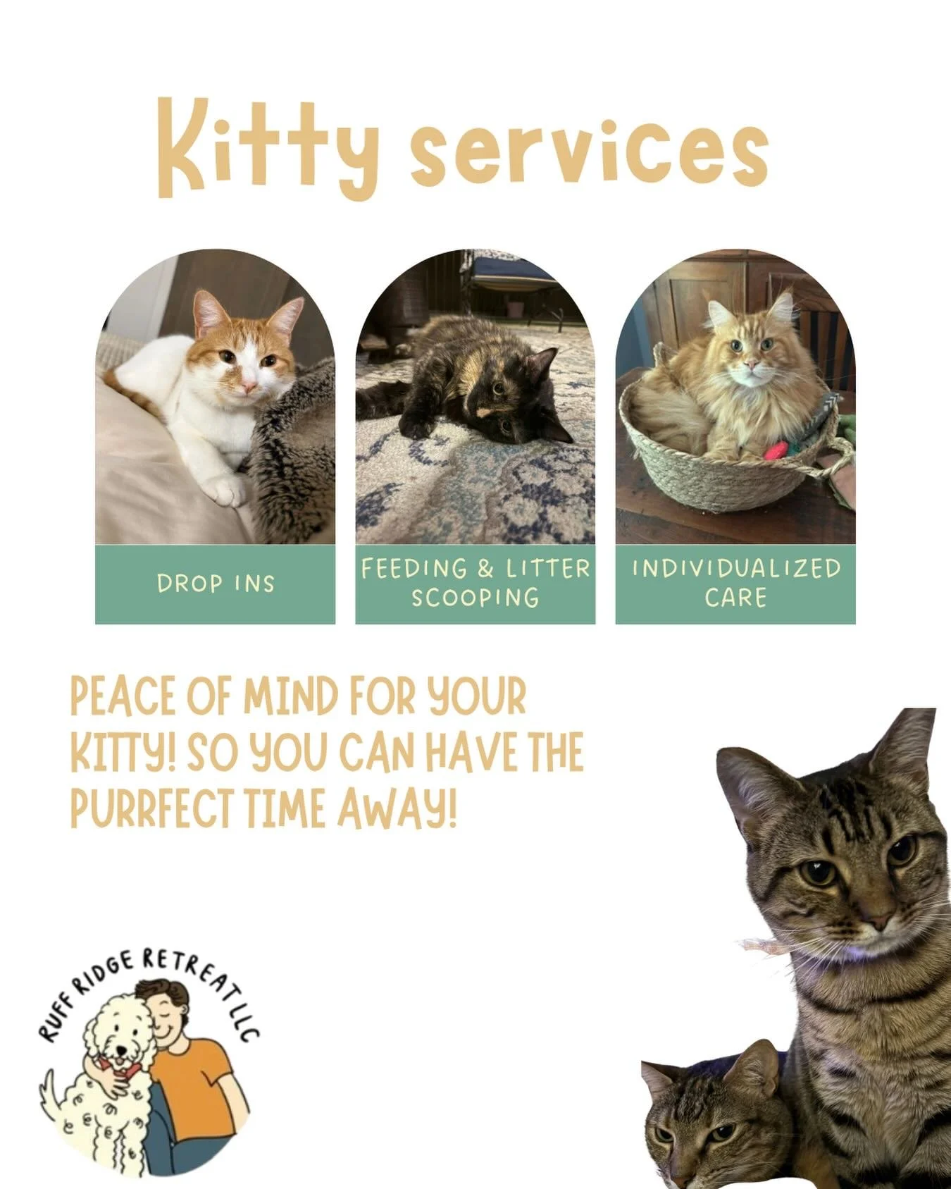Here at Ruff Ridge, our team of sitters does not just care for dogs, but cats too! We offer individualized care for your cat while you&rsquo;re away. Our kitty drop ins include feeding, litter box maintenance, playtime, and cuddles! We cater to your 