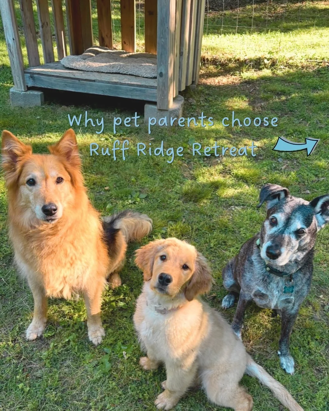 Real reviews from real clients. At Ruff Ridge Retreat, individualized quality pet care is what we are all about, because it&rsquo;s what your pet deserves!&nbsp;🐾

#ruffridgeretreat #dogsitting #smallbusiness #doggydaycare